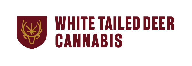White Tailed Deer Cannabis