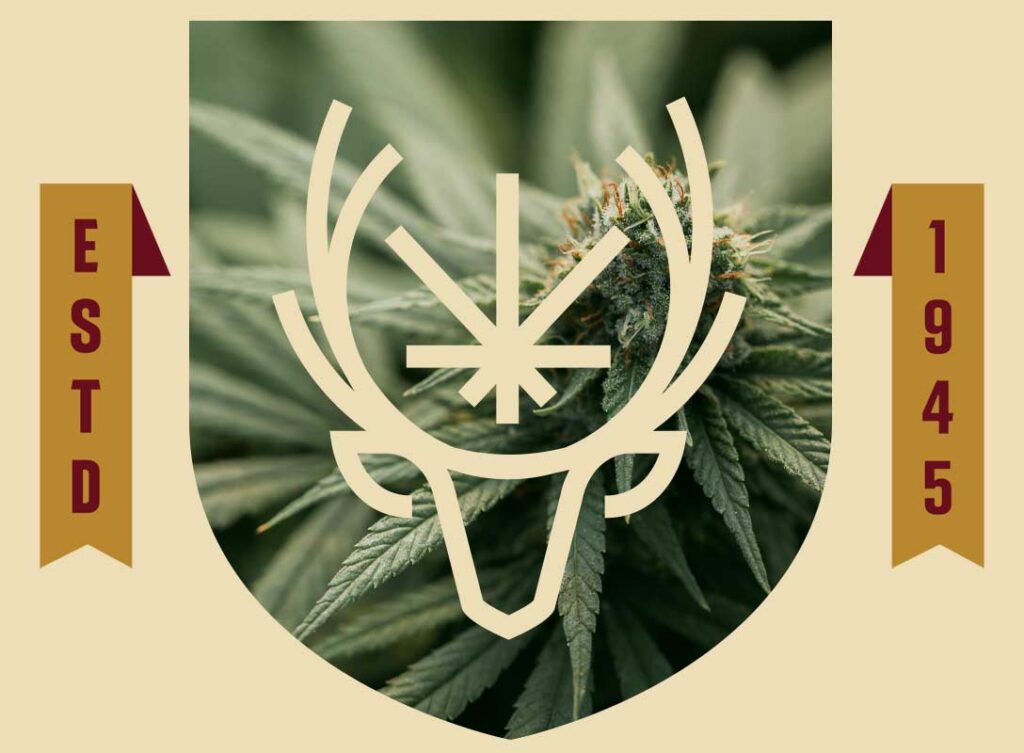 White Tailed Deer Cannabis